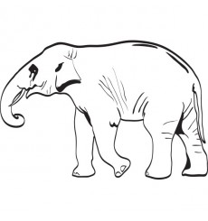 Sticker Elephant